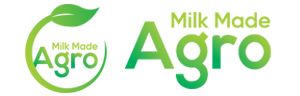 MUSA GROUP